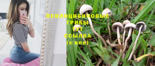трава Гусь-Хрустальный