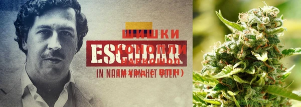 каннабис Гусиноозёрск