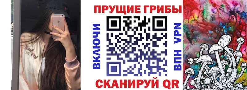 Псилоцибиновые грибы мицелий  Купить где  Миллерово 